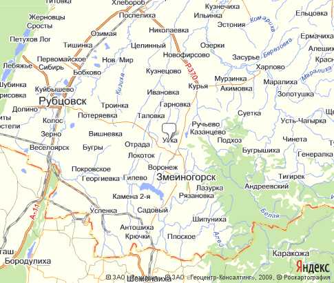 Карта: Змеиногорский